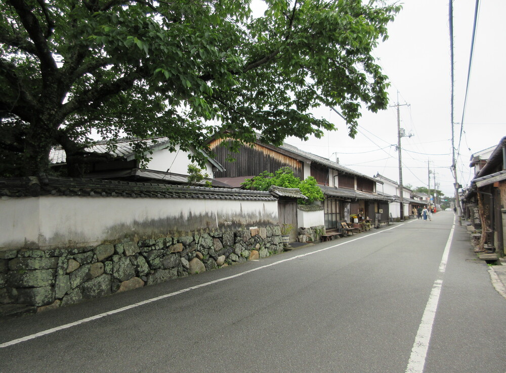 ����鉺��