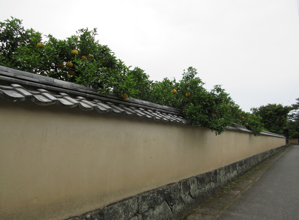 �����Òn��i�d�v�`���I�������ۑ��n��j