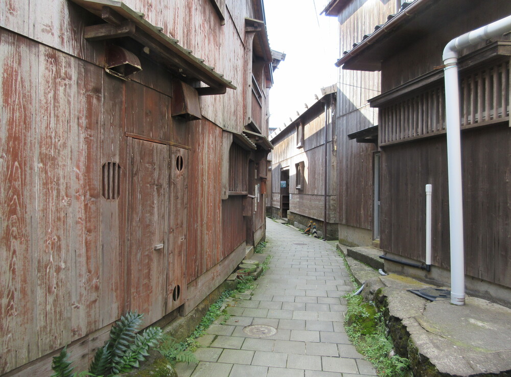 �h���؂̒����݁i�V�������n�s�j