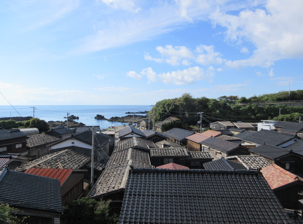 �h���؂̓W�]�䂩�猩����Βu�؉H�������̒����݁i�V�������n�s�j