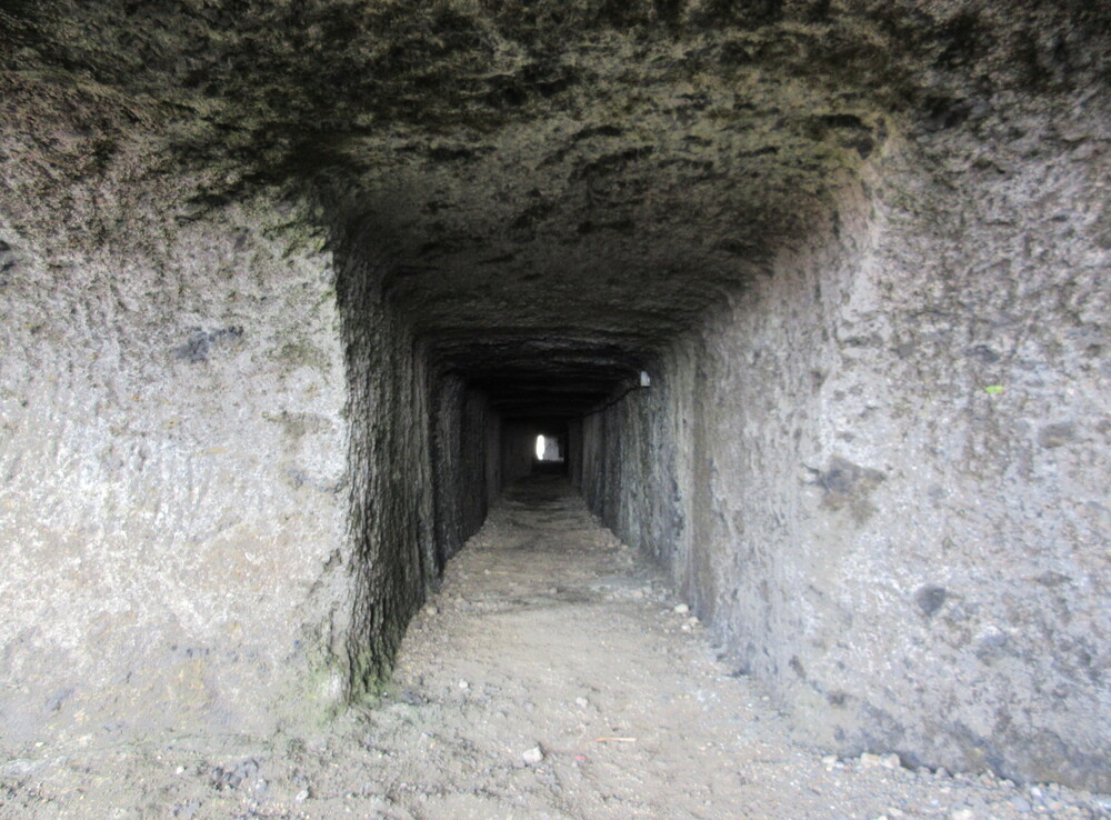 ���n��詓��i�h���ؗV�����j