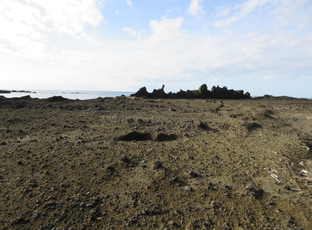 �h���؂̗��N�g�H��