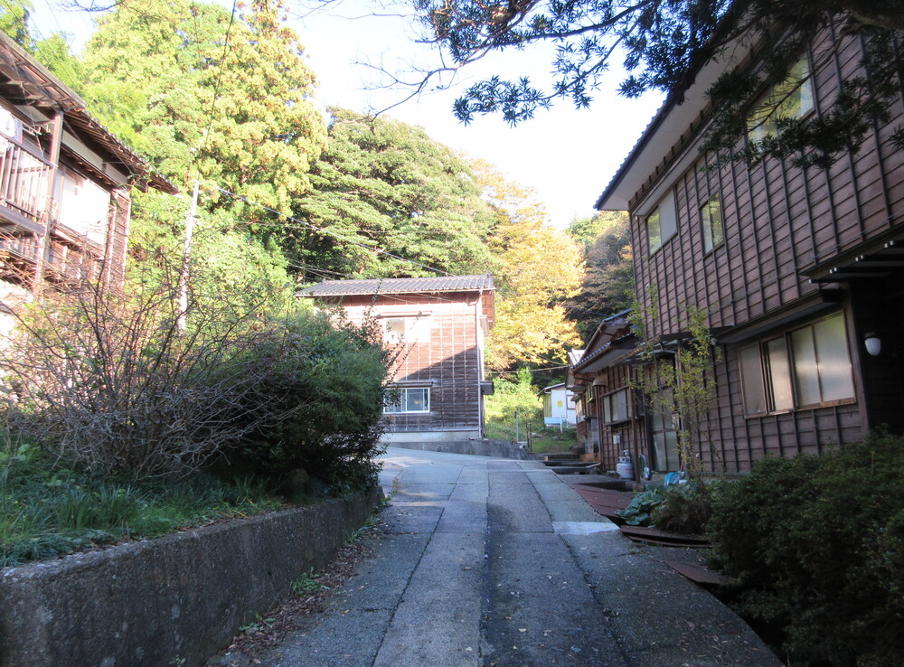 ���R�̍B�v�������Z�񂾑�H���E���n����̒����݁i�V�������n�s�j