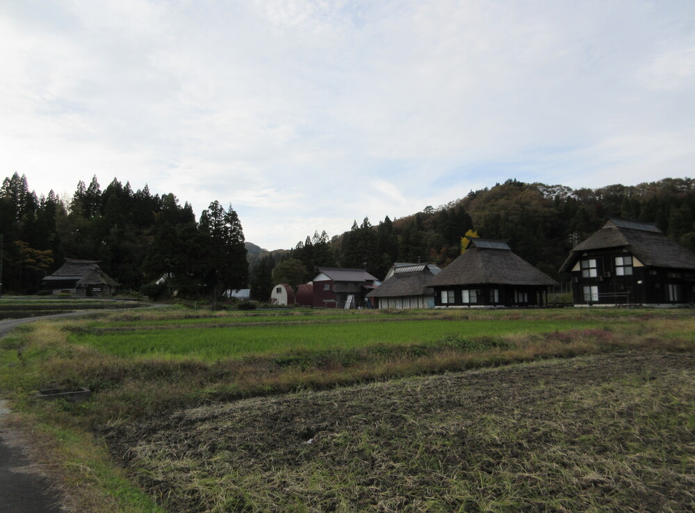 ���m������Ԃ��̗��i�V��������s�j