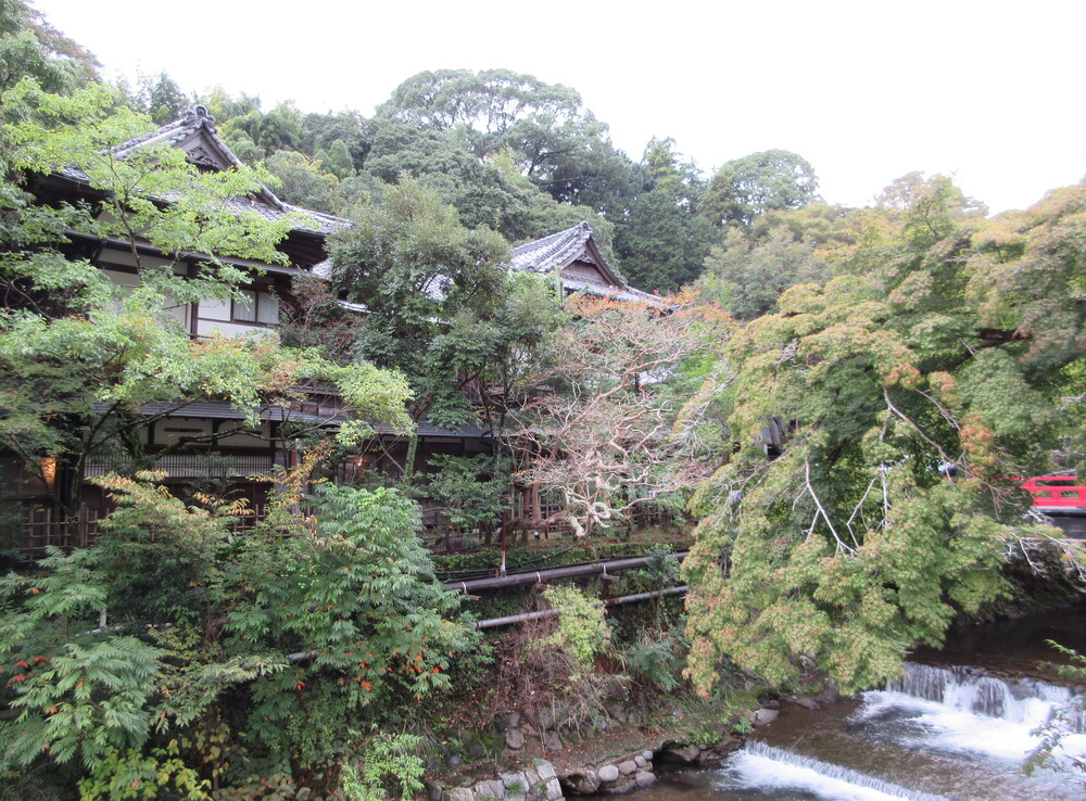 ���͌�����̒����݁i�_�ސ쌧���͌����j