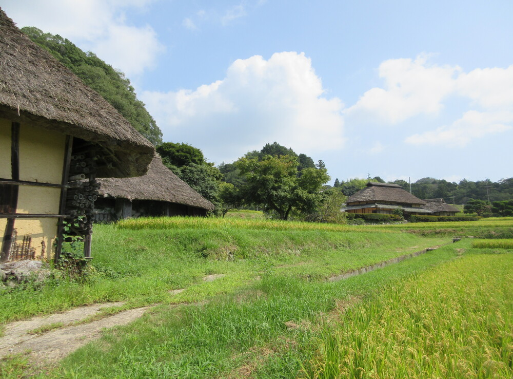 �������ӂ邳�Ƒ��i���R�����O�s�j