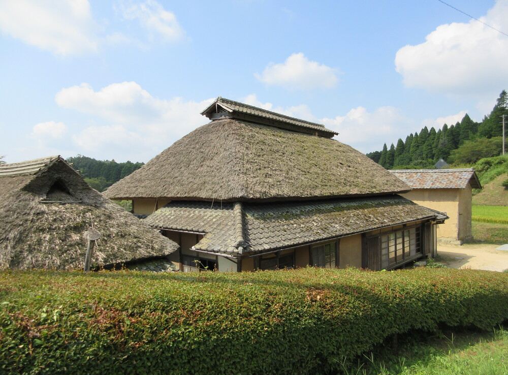 �������ӂ邳�Ƒ��i���R�����O�s�j