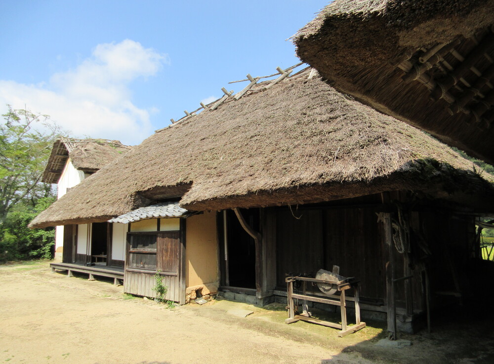 �������ӂ邳�Ƒ��i���R�����O�s�j