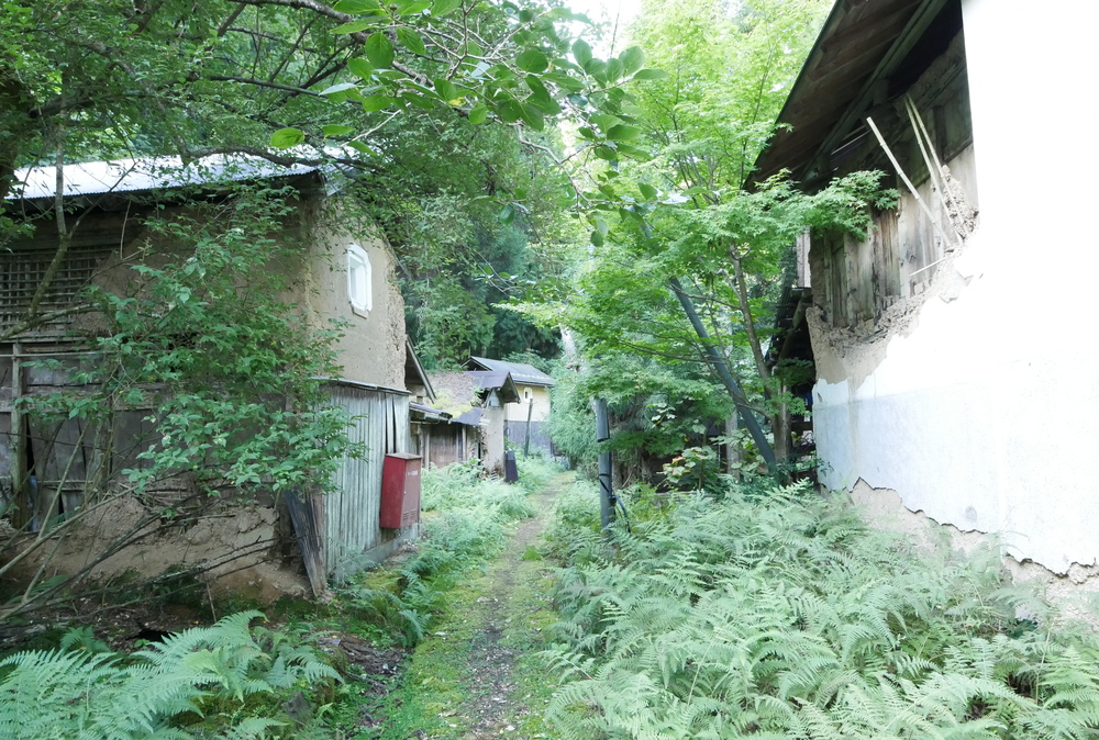 板井原集落(鳥取県智頭町)